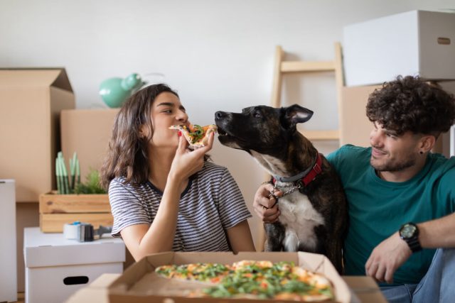 Pet Care Providers Win With New Movers
